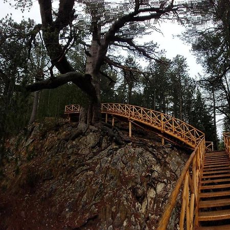 500М. От Лифта Сладък Дом В Белведере Спа Комплекс Bansko Exteriér fotografie